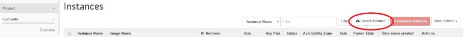 ../../_images/LaunchInstance.jpg